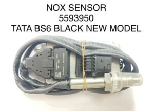 WhatsApp Image 2025-11-20 at 7.00.24 PM (2)