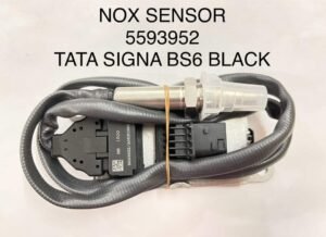 WhatsApp Image 2025-11-20 at 7.00.24 PM