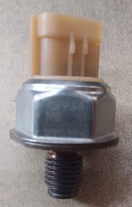 WhatsApp Image 2025-11-20 at 7.00.31 PM